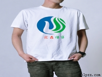 T (2)